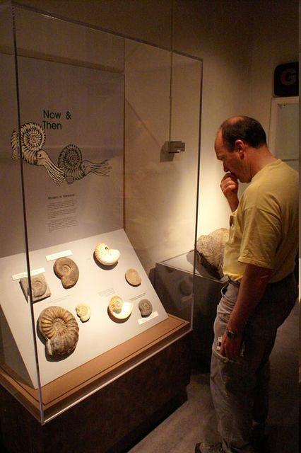 PICT1318.JPG