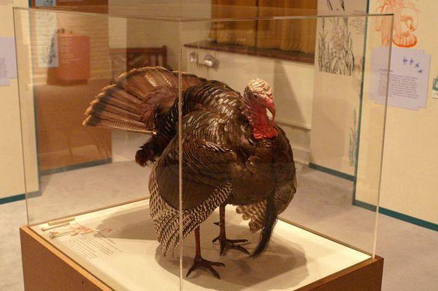 Reminds me of the Turkey processing company I used to work for...
