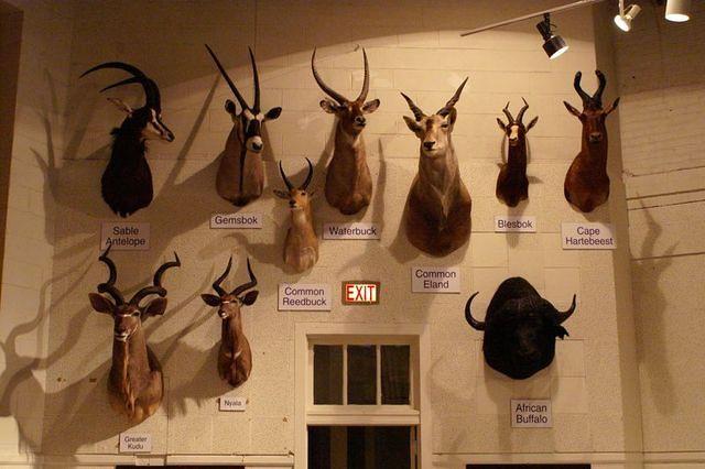 PICT1338.JPG