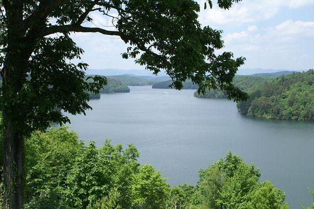 PICT1342.JPG
