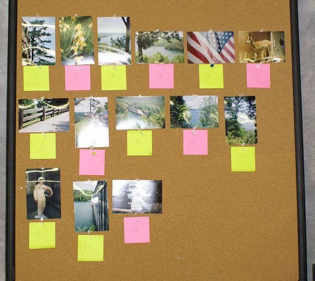 The photo competition entries