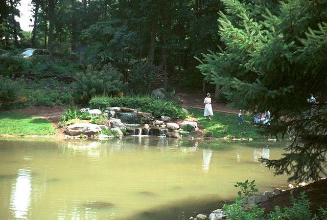 Rock Garden & Pond