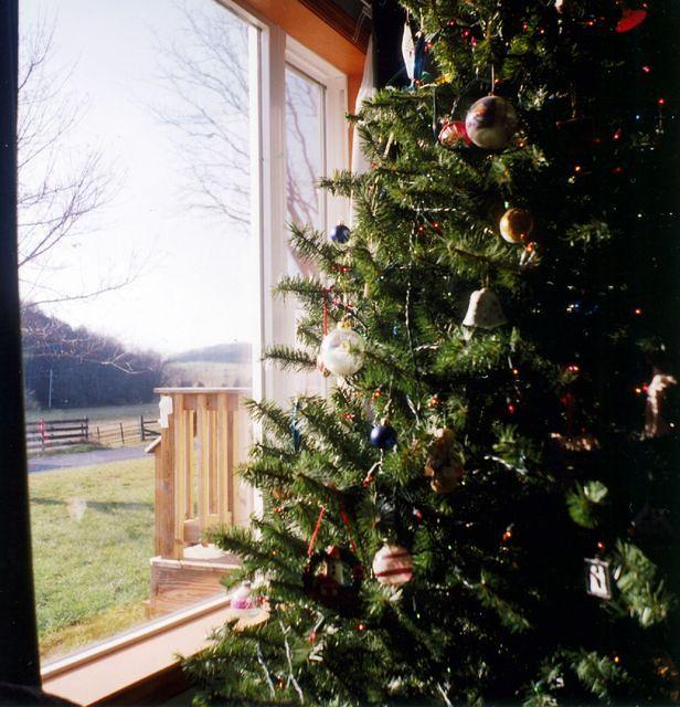 Out our front window.