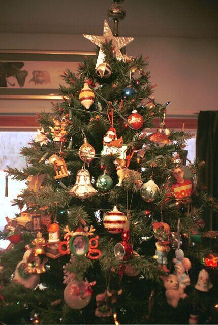 ACGHoliday2021-23