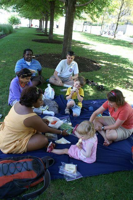 Picnic Lunch