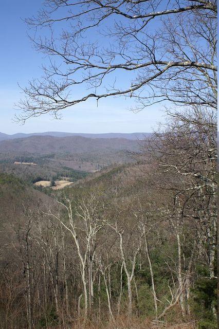 PICT0663.JPG