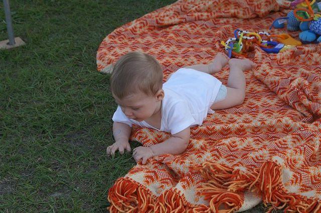 Hmmm...grass...