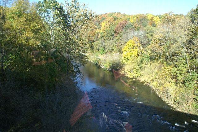 Over the river and through the woods...