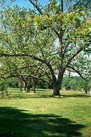 ACGG2008-11.jpg