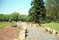ACGG2008-14.jpg