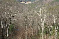 If you look very very closely, you can see the road in 2 places below.